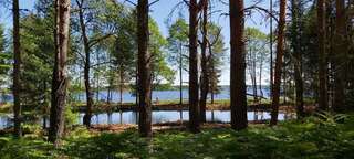 Отель Парк отель Вселуг - Селигер Пено-4