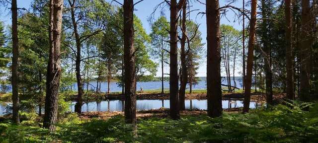 Отель Парк отель Вселуг - Селигер Пено-7